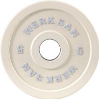 ANTRENMAN KAUÇUK 5 KG DISK