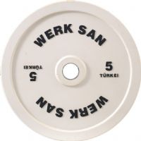 Werksan Teknik Diskler