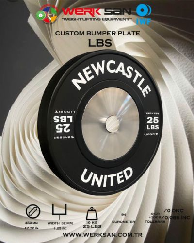 CUSTOM BUMPER PLATE 25 LBS  DISC