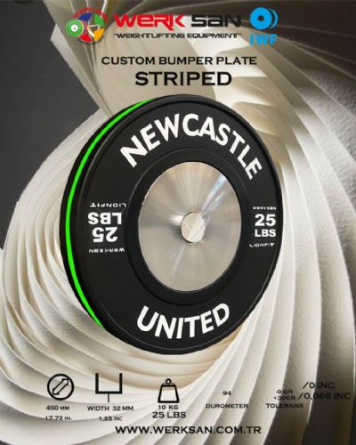 CUSTOM BUMPER PLATE 25 LBS DISC STRIPED
