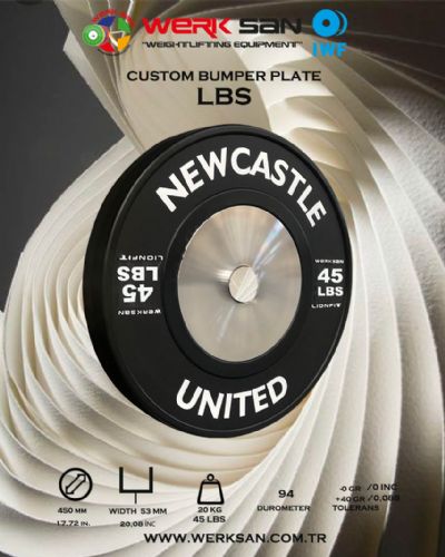 CUSTOM BUMPER PLATE 45 LBS  DISC